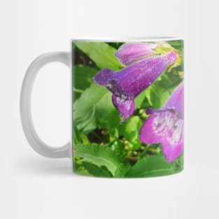 Purple Penstemons Mug